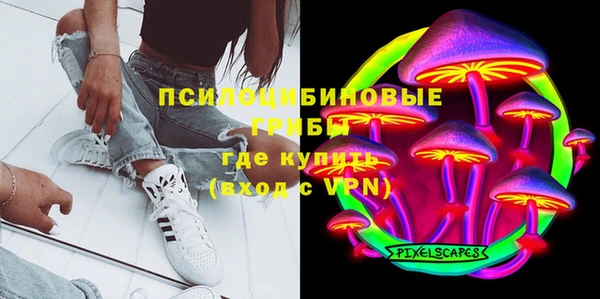 ПСИЛОЦИБИНОВЫЕ ГРИБЫ Аркадак