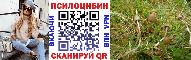 Псилоцибиновые грибы Magic Shrooms  Фурманов 